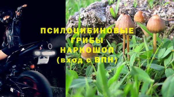 a pvp Майский