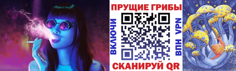 дарк нет состав  Ардатов  Псилоцибиновые грибы прущие грибы  где найти  